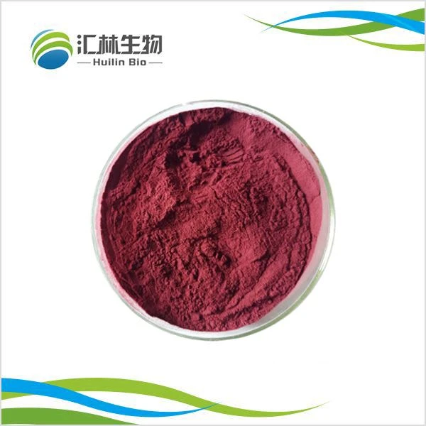 Εκχύλισμα μούρων Aronia σε σκόνη