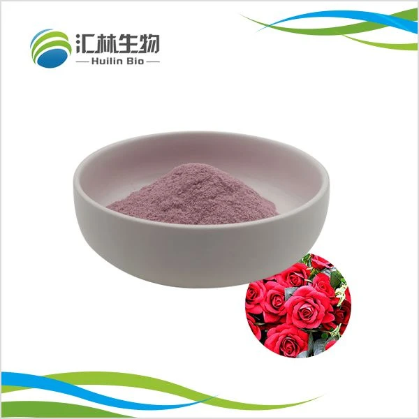 Rose Flower Powder